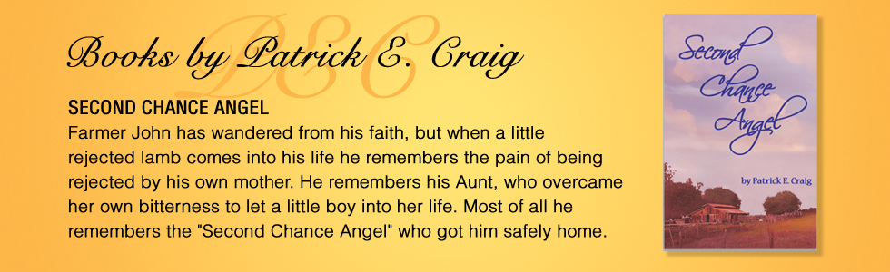 Second Chance Angel by Patrick E. Craig