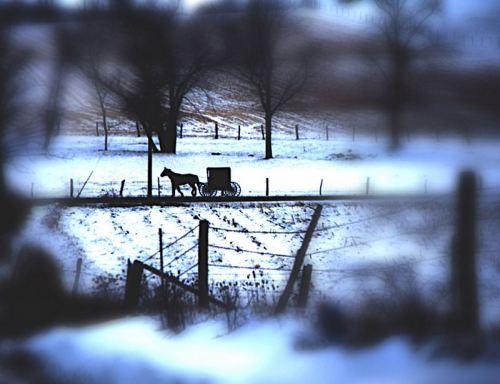 Cold winter scene and a horse-drawn carriage, The Storm - from "A Quilt for Jenna" by Patrick E. Craig