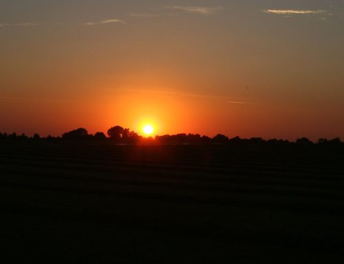 Sunset over Homedale