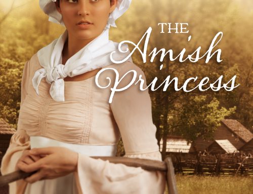 The Amish Princess