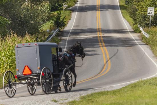 The Amish Experience